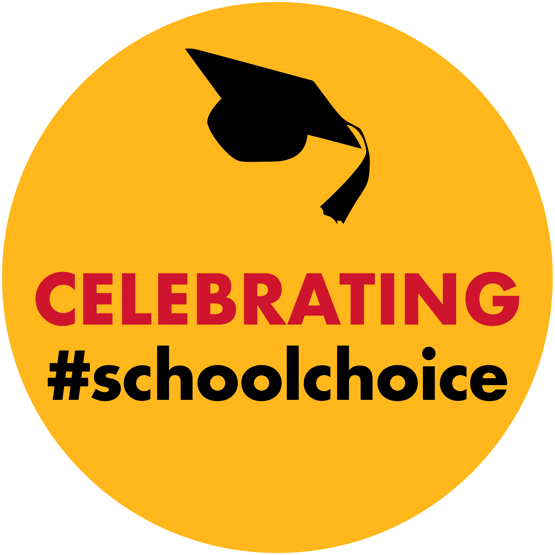 School Choice Week Highlights Finding the Learning Environment for Each Child - Child&#39;s Voice